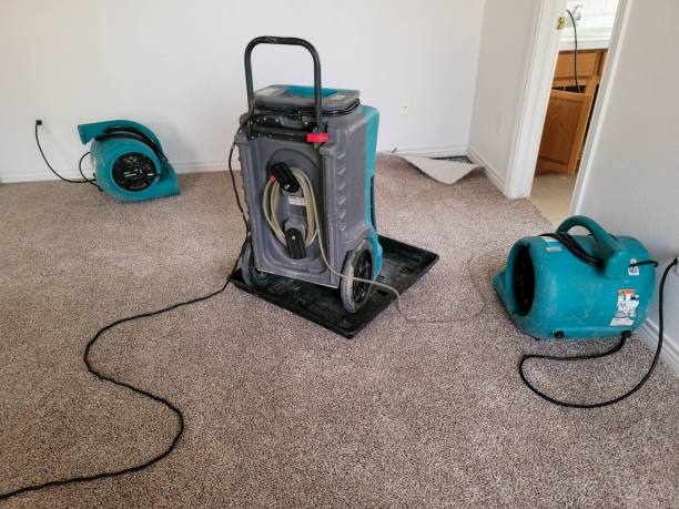 Best Professional water damage repair  in Hobart, WA