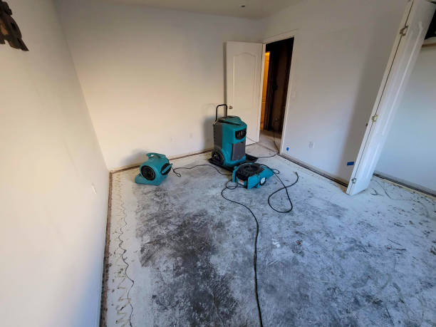 Best Water damage restoration near me  in Hobart, WA