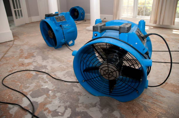 Best Ceiling water damage repair  in Hobart, WA