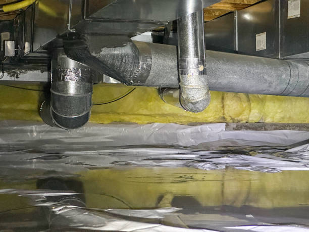 Best Flooded house restoration  in Hobart, WA